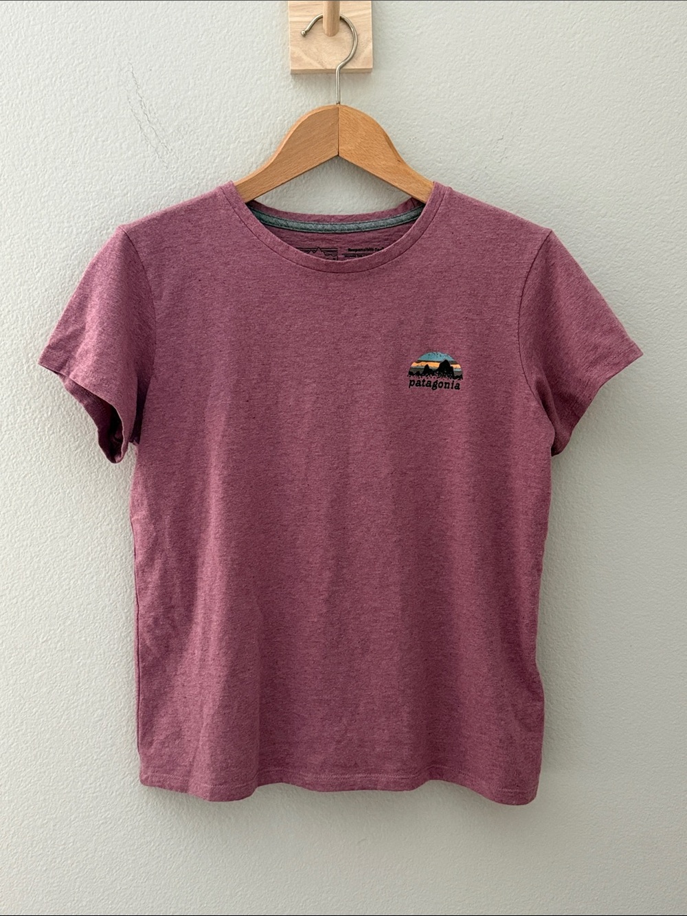 Patagonia Women’s Short-Sleeve Tee - Mauve Heather Gorpcore Hiking Outdoors Sm